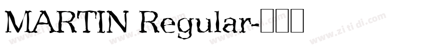MARTIN Regular字体转换